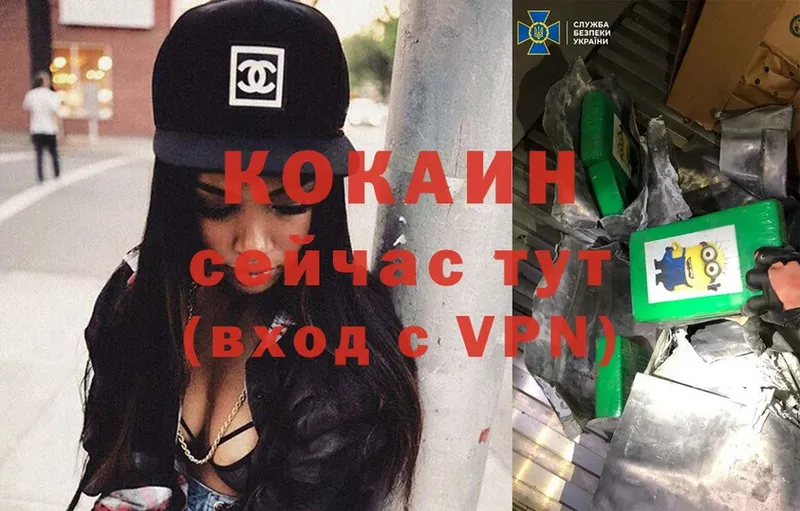 Кокаин VHQ  OMG онион  Буй  где продают  